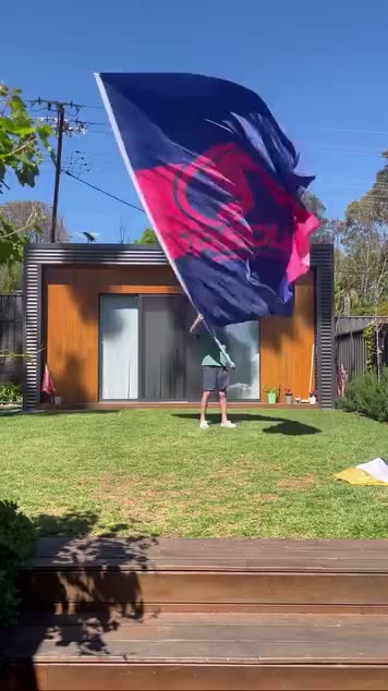 Flag in action 01